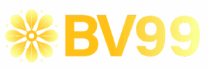 bv994 logo